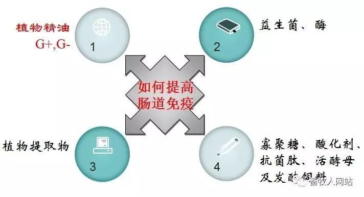 1506390740834773.jpg 天.jpg