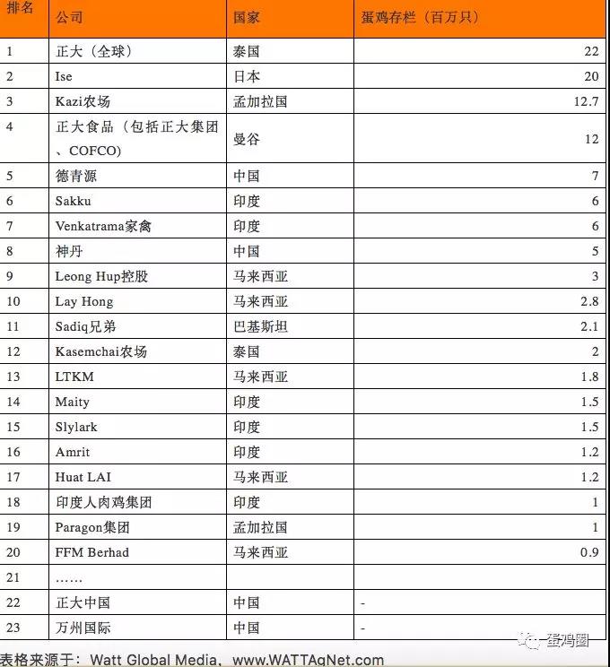亚洲蛋鸡.jpg